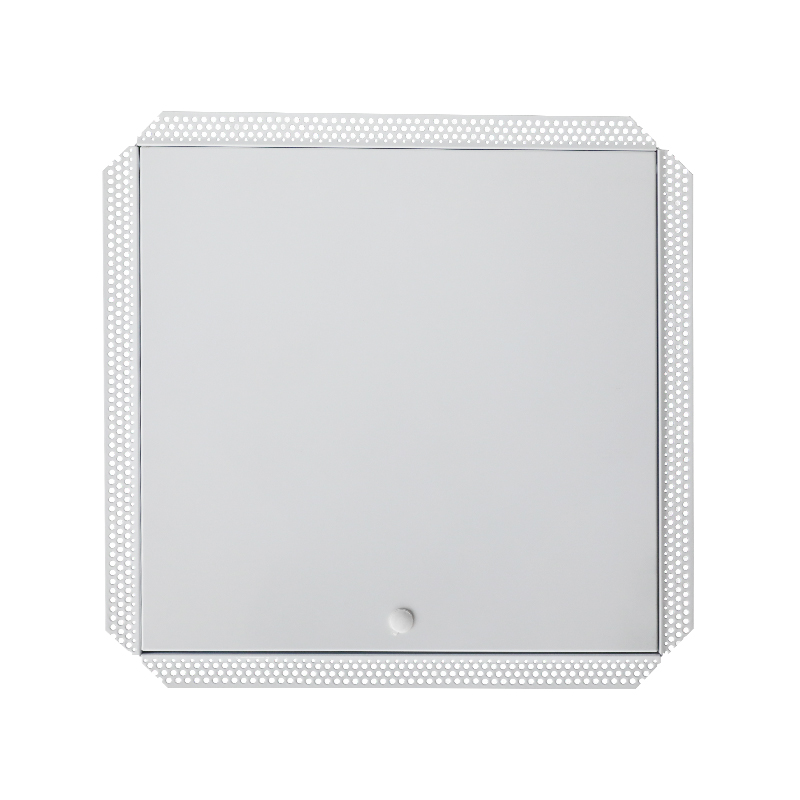 SS-AP251 ইস্পাত অ্যাক্সেস প্যানেল